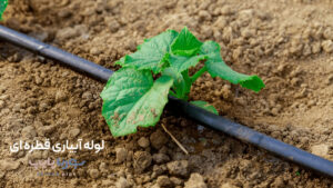 لوله آبیاری قطره ای